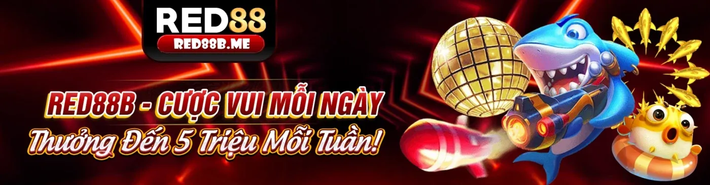 Hình ảnh minh họa trải nghiệm người dùng cá nhân hóa